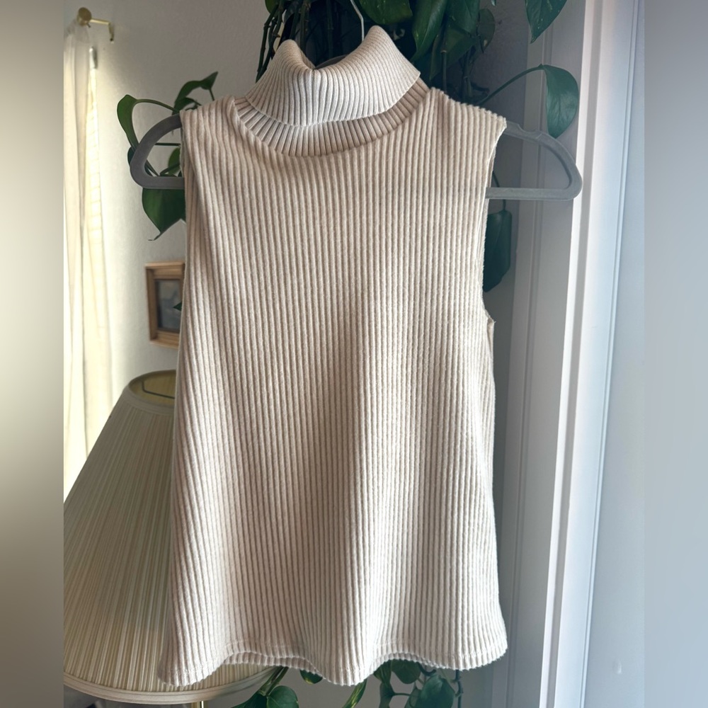 Zara Beige Ribbed Turtleneck